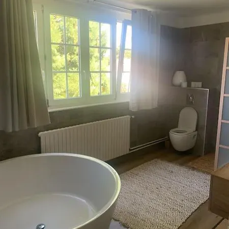 Apartment Superbe Dans Maison Bourgeoise Avec Jardin Arbore Metz
