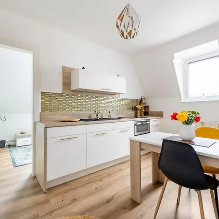 Superbe Dans Maison Bourgeoise Avec Jardin Arbore Appartement Metz