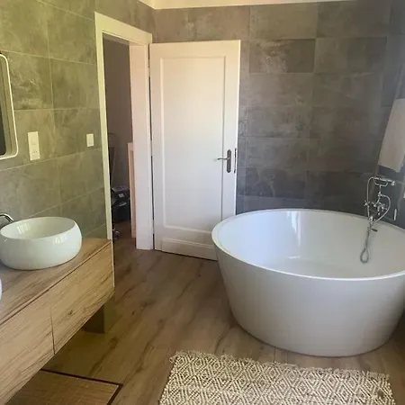 Appartement Superbe Dans Maison Bourgeoise Avec Jardin Arbore Metz